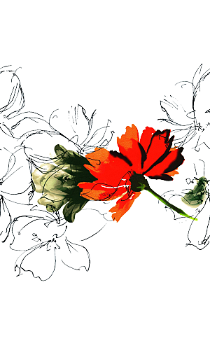 免抠植物古风花草插画元素