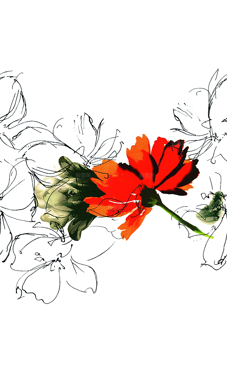 免抠植物古风花草插画元素