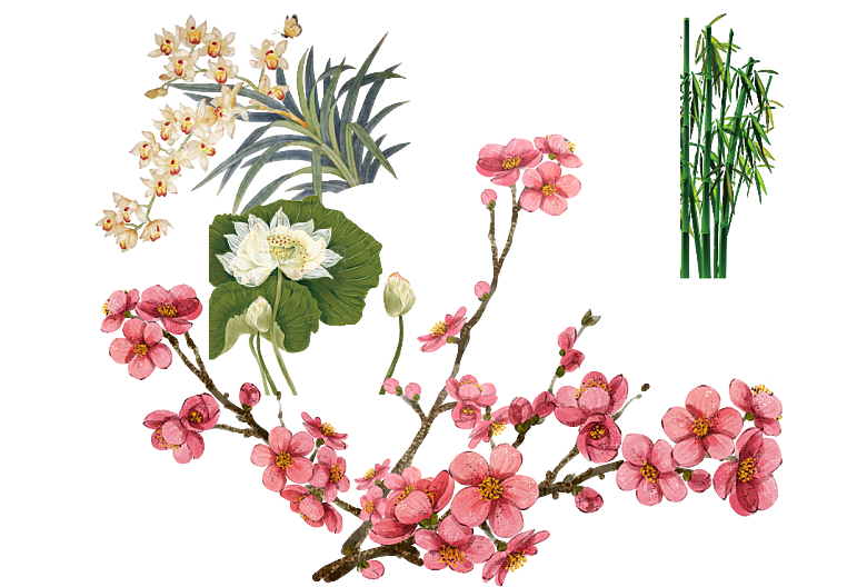 免抠植物古风花草插画元素