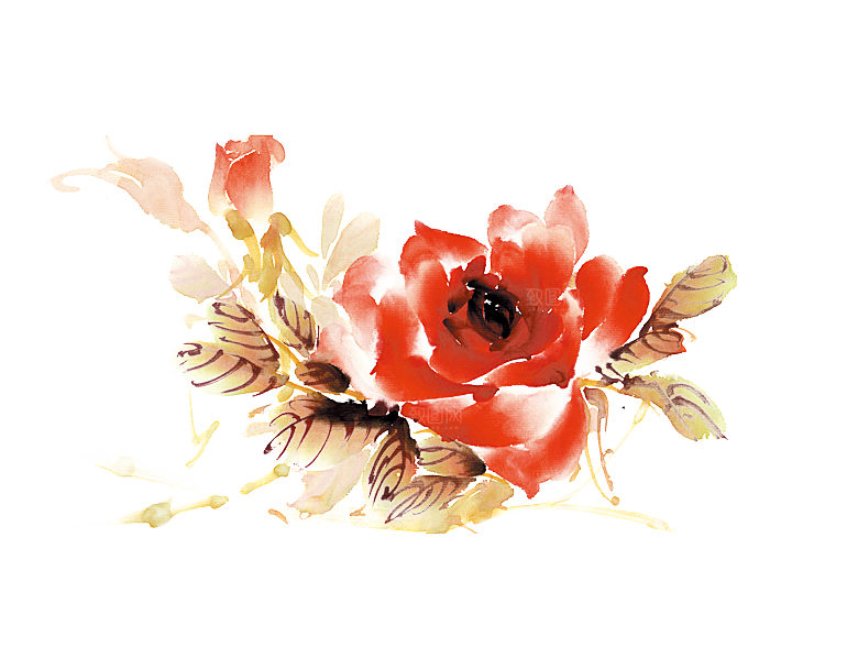 免抠植物古风花草插画元素