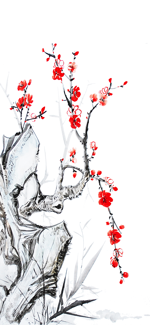 免抠植物古风花草插画元素