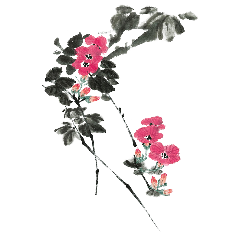 免抠植物古风花草插画元素