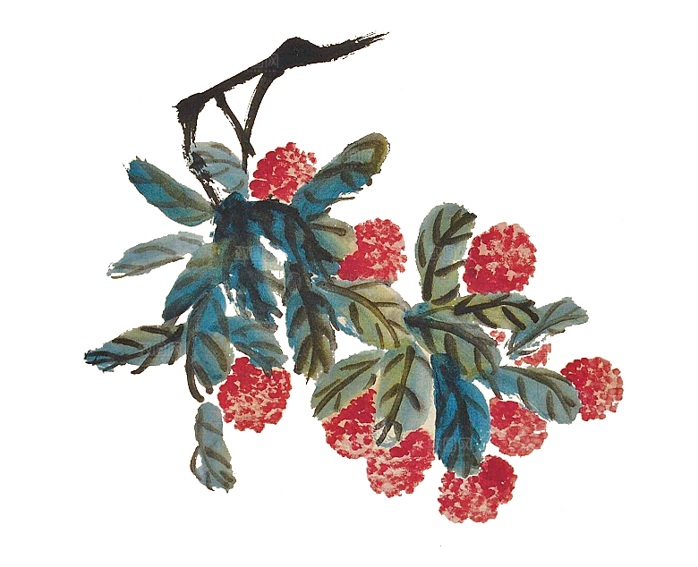 免抠植物古风花草插画元素