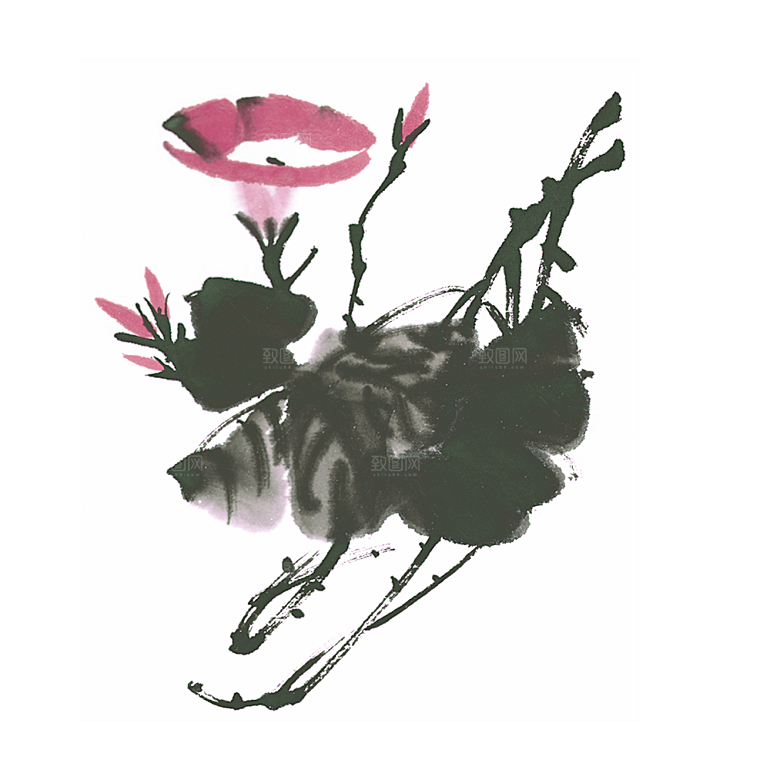 免抠植物古风花草插画元素