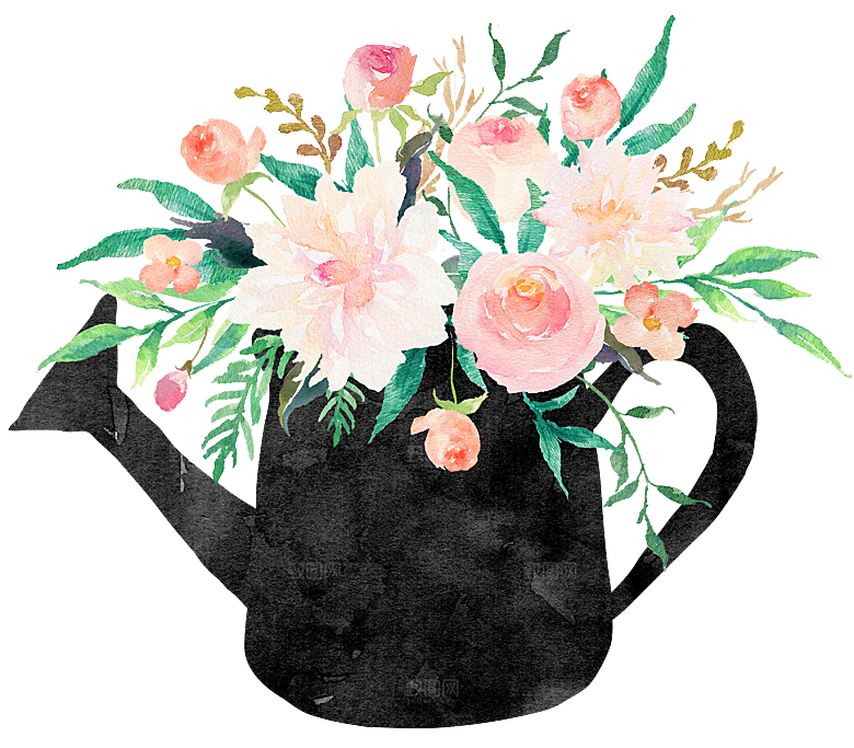 免抠植物古风花草插画元素