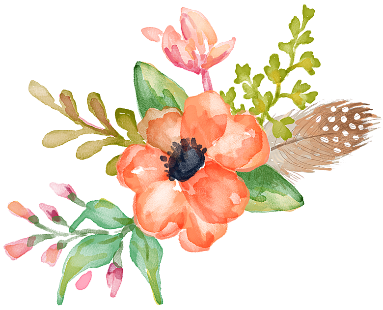 免抠植物古风花草插画元素
