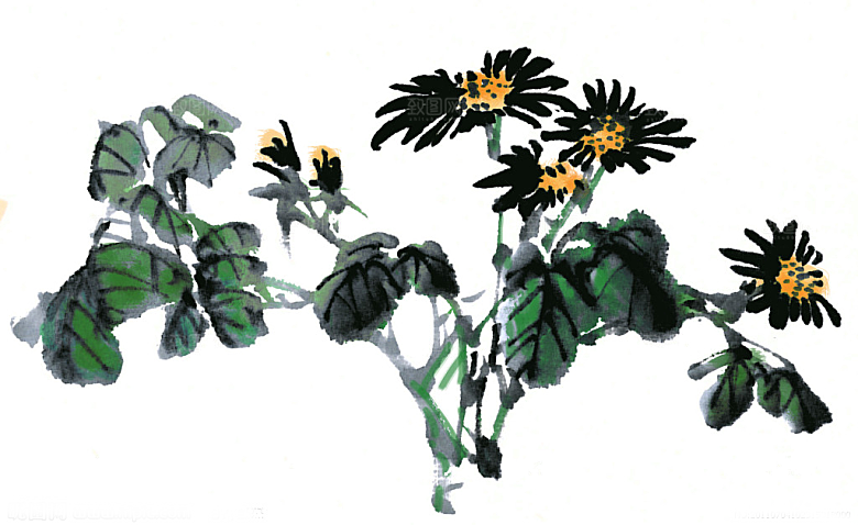 免抠植物古风花草插画元素