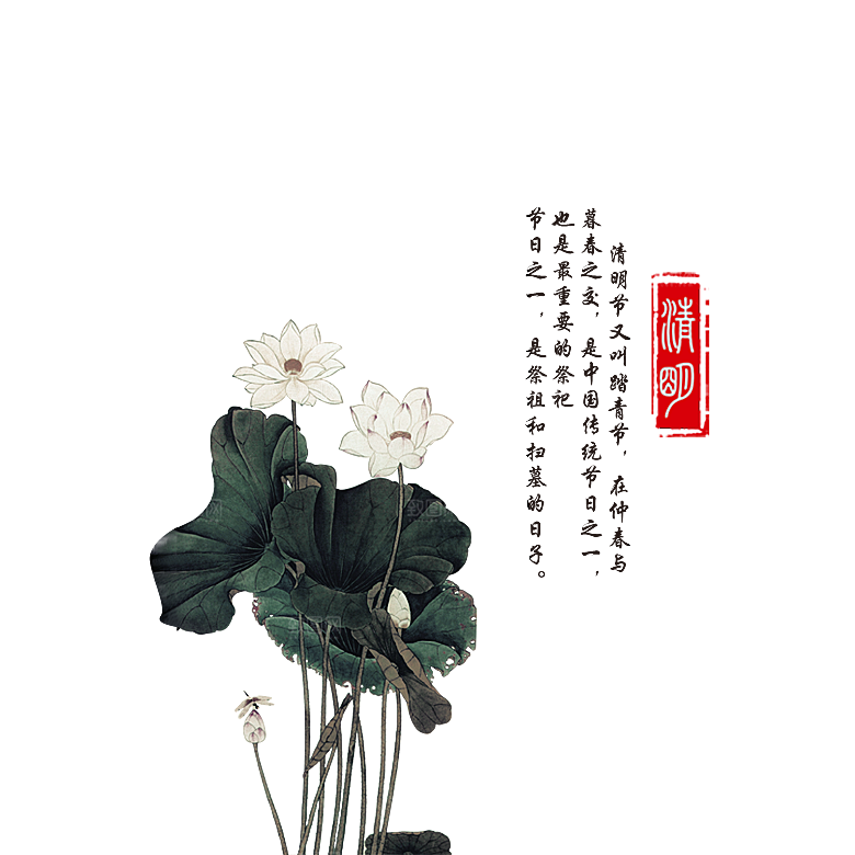 免抠植物古风花草插画元素