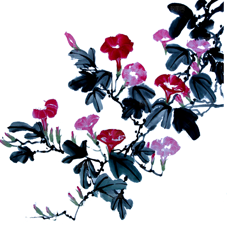 免抠植物古风花草插画元素