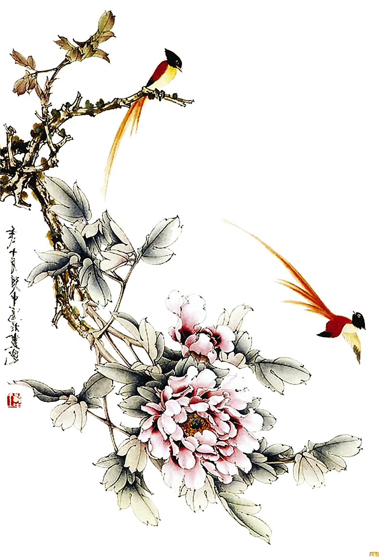 免抠植物古风花草插画元素