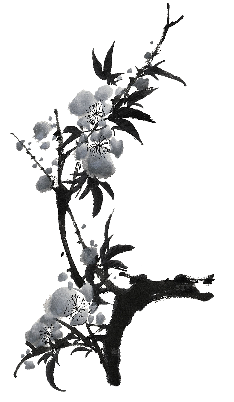 免抠植物古风花草插画元素