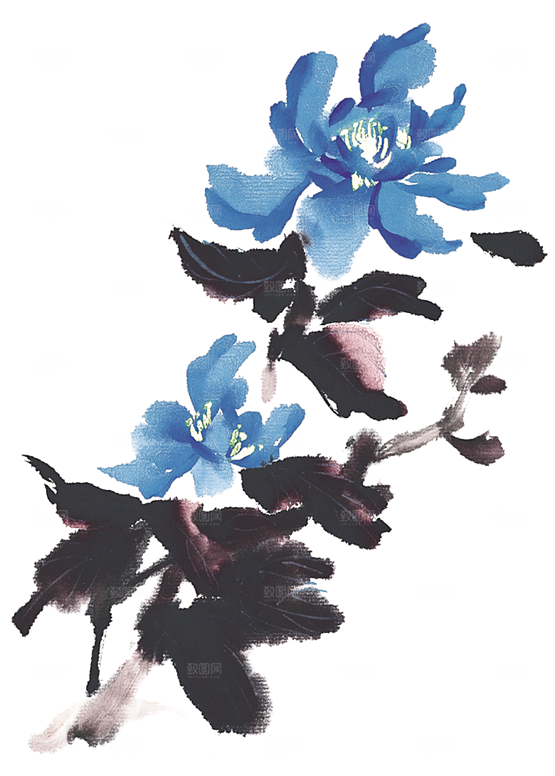 免抠植物古风花草插画元素