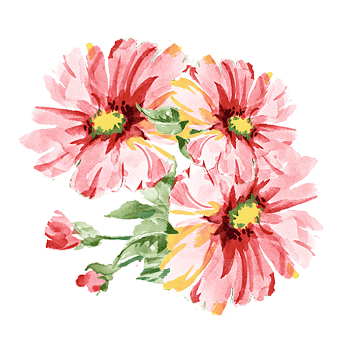免抠植物古风花草插画元素