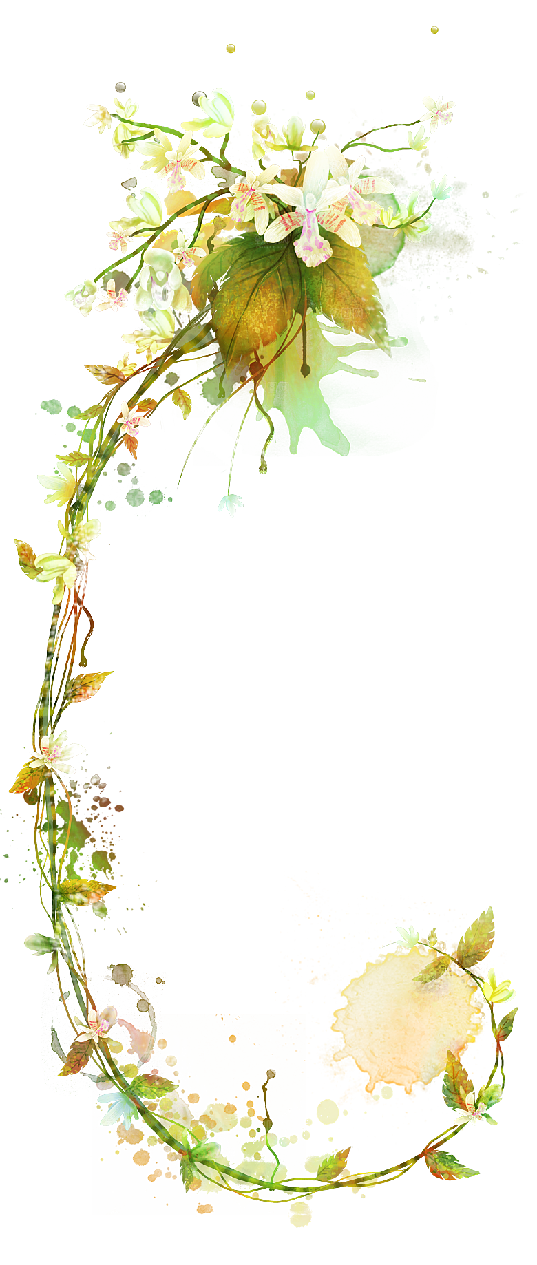 免抠植物古风花草插画元素