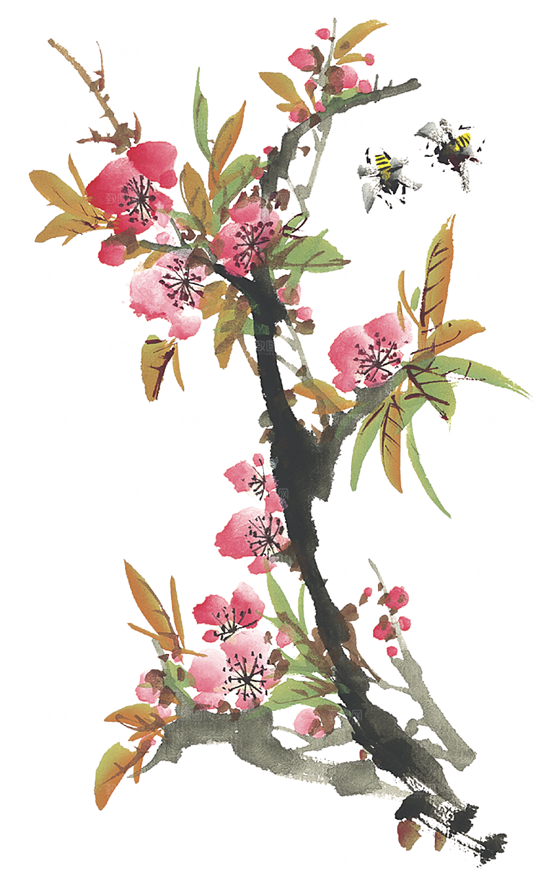 免抠植物古风花草插画元素