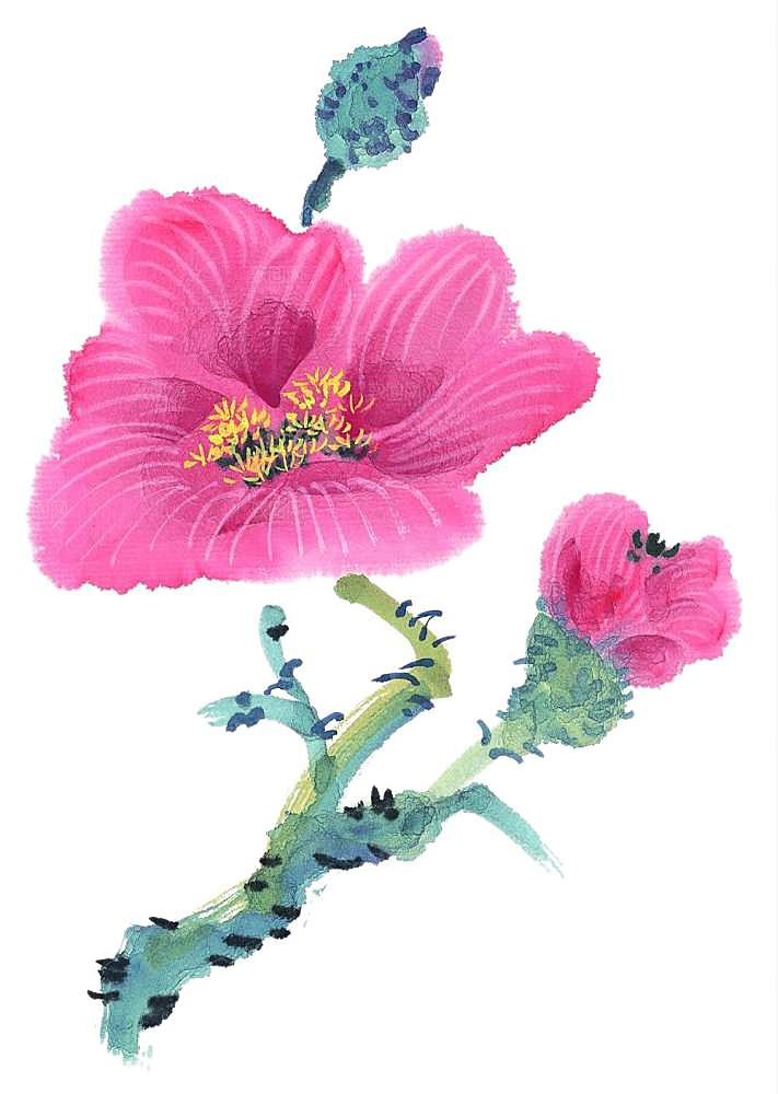 免抠植物古风花草插画元素