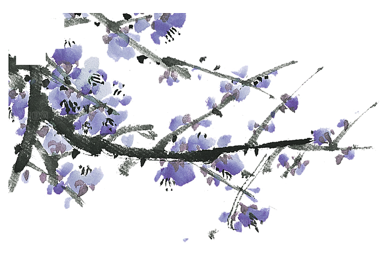 免抠植物古风花草插画元素