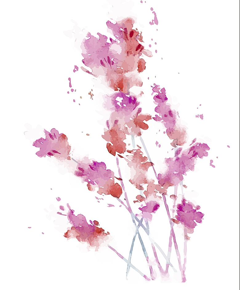 免抠植物古风花草插画元素