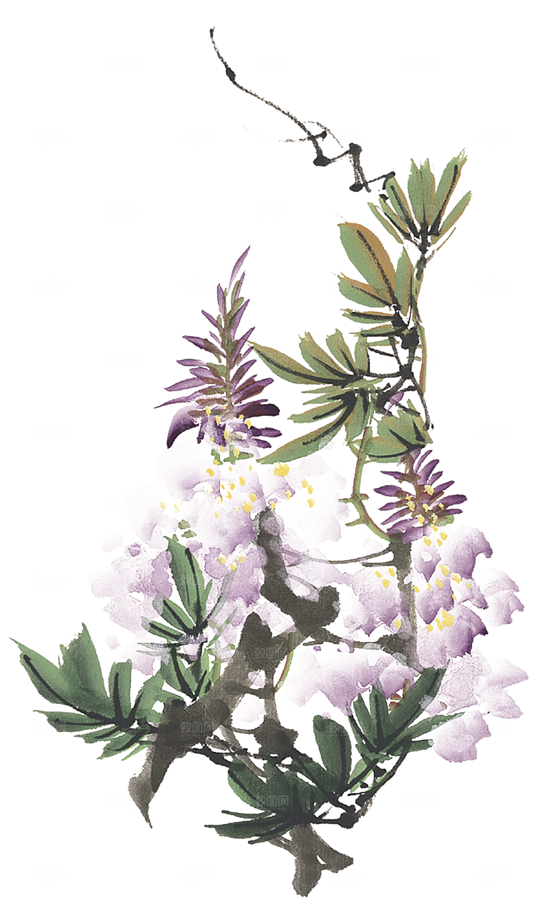 免抠植物古风花草插画元素