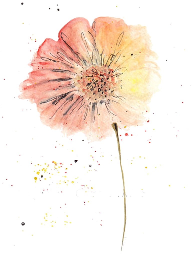 免抠植物古风花草插画元素