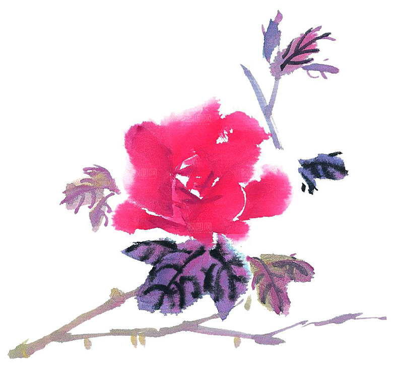 免抠植物古风花草插画元素