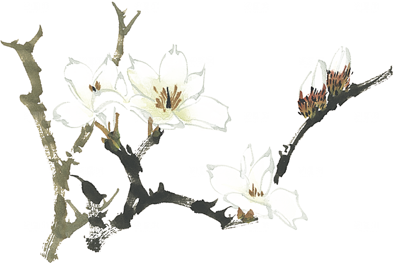 免抠植物古风花草插画元素