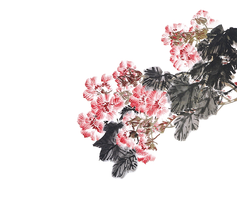 免抠植物古风花草插画元素