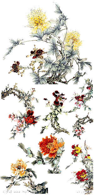 免抠植物古风花草插画元素
