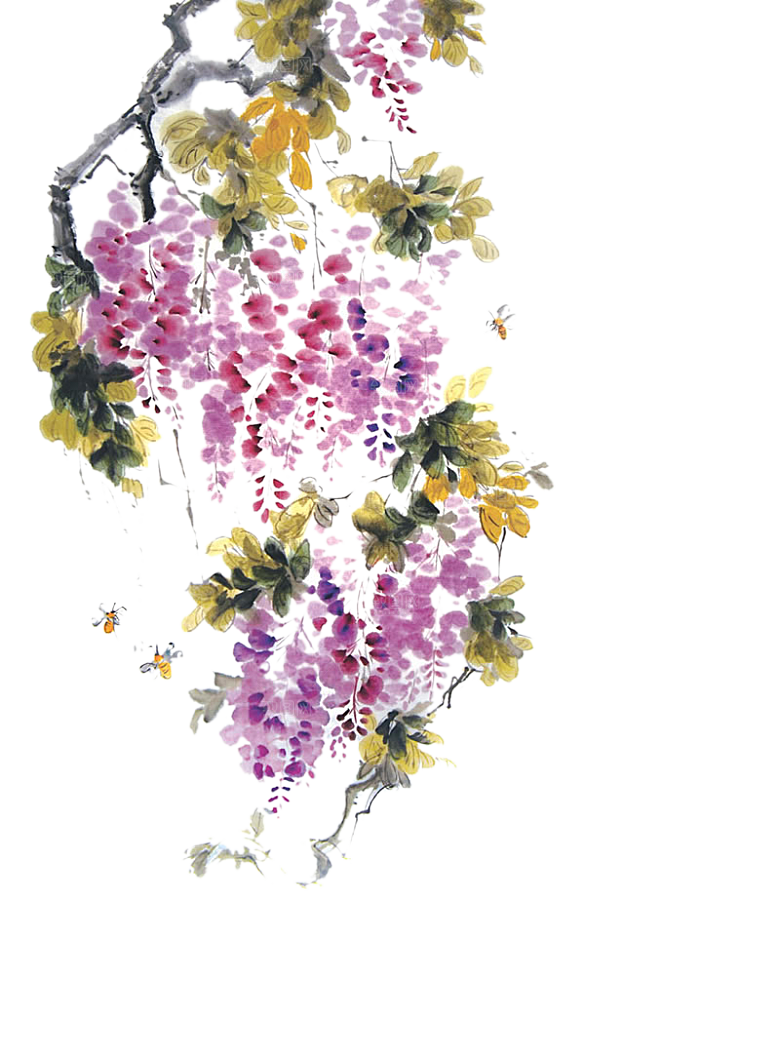 免抠植物古风花草插画元素
