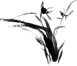 免抠植物古风花草插画元素
