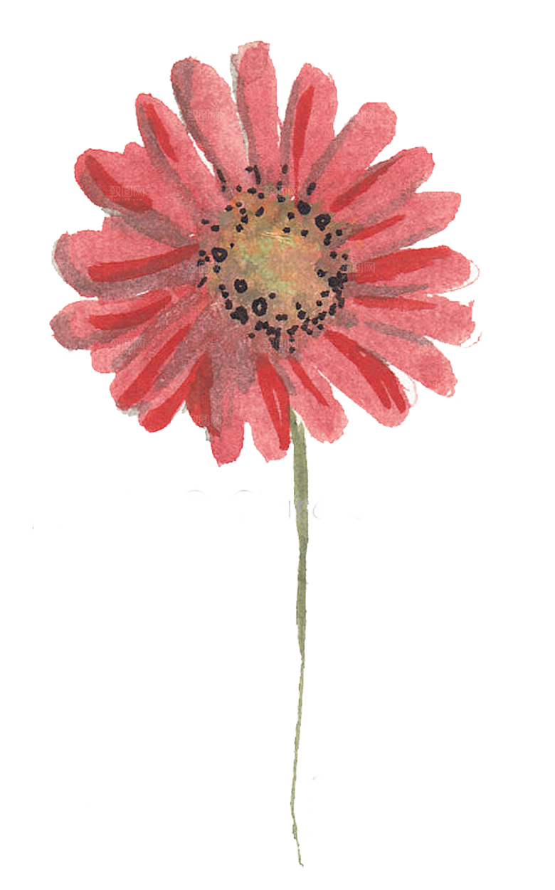 免抠植物古风花草插画元素