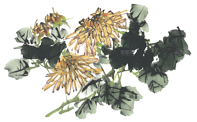 免抠植物古风花草插画元素
