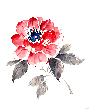 免抠植物古风花草插画元素