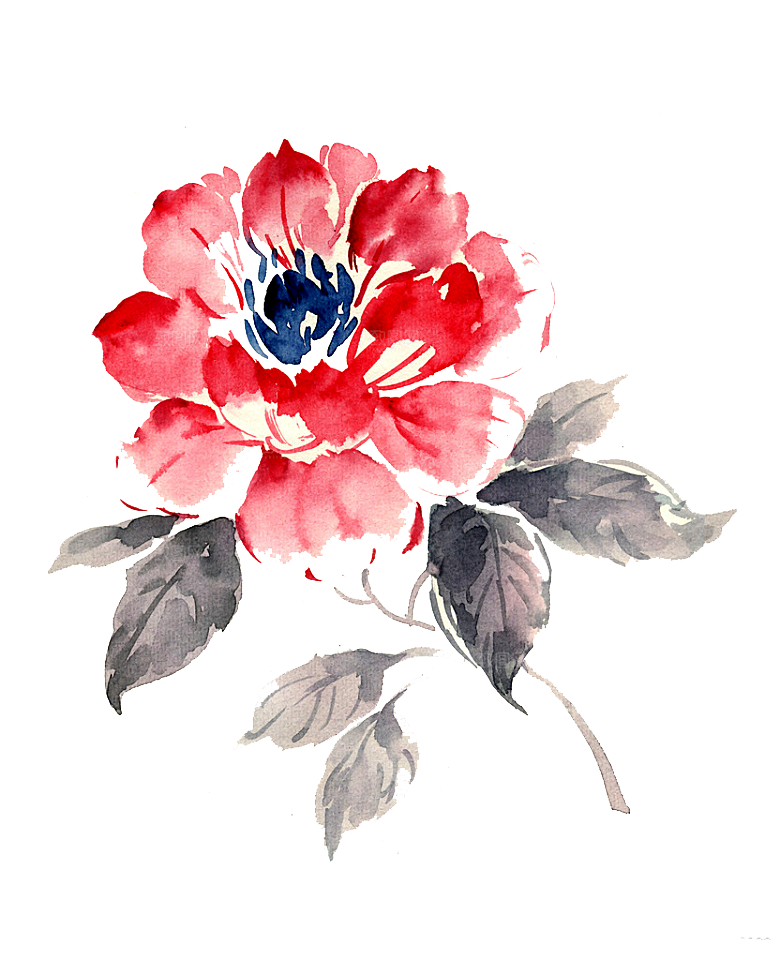 免抠植物古风花草插画元素