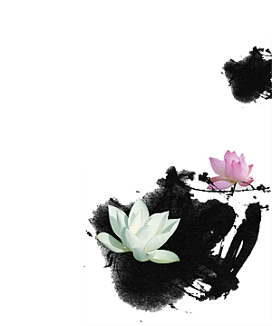 免抠植物古风花草插画元素