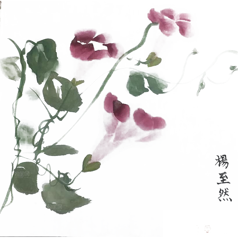 免抠植物古风花草插画元素