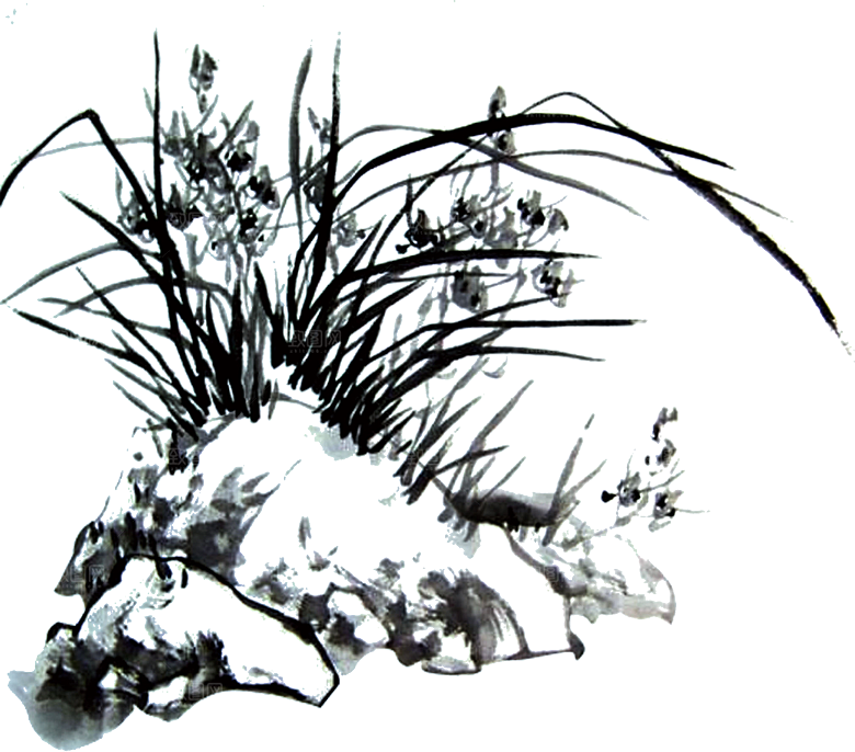 免抠植物古风花草插画元素