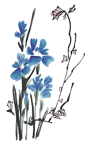 免抠植物古风花草插画元素