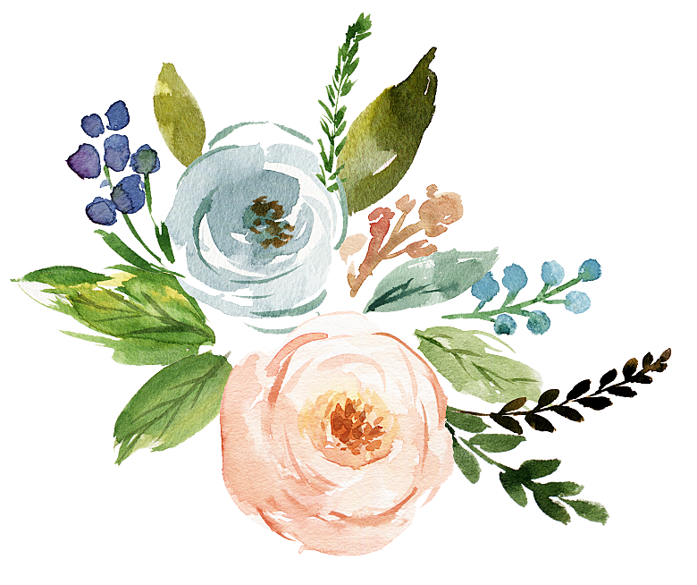 免抠植物古风花草插画元素