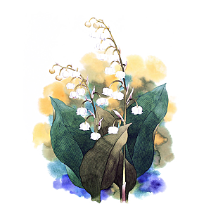 免抠植物古风花草插画元素