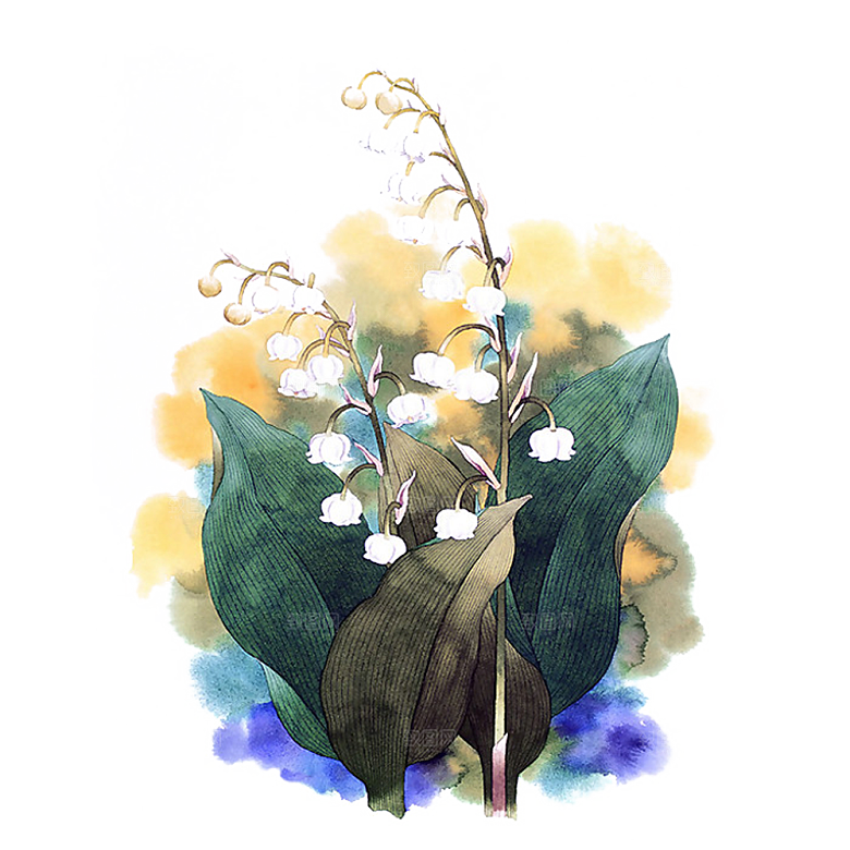 免抠植物古风花草插画元素