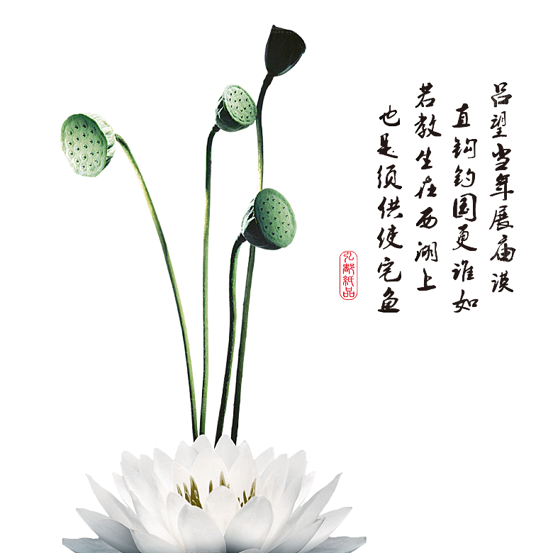 免抠植物古风花草插画元素