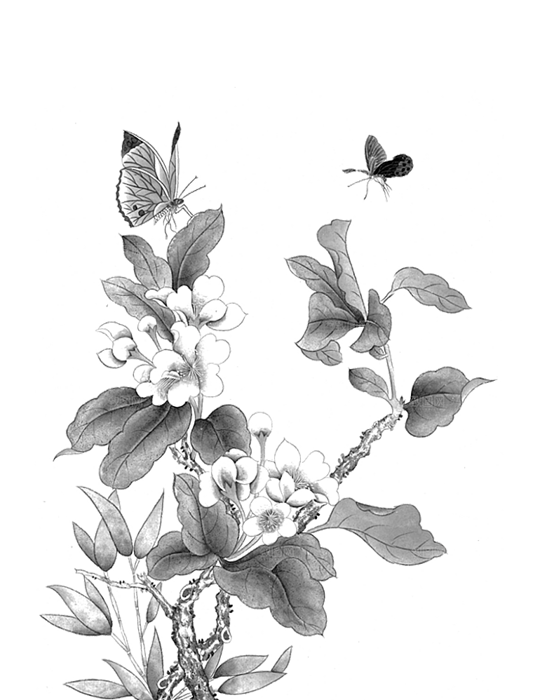 免抠植物古风花草插画元素