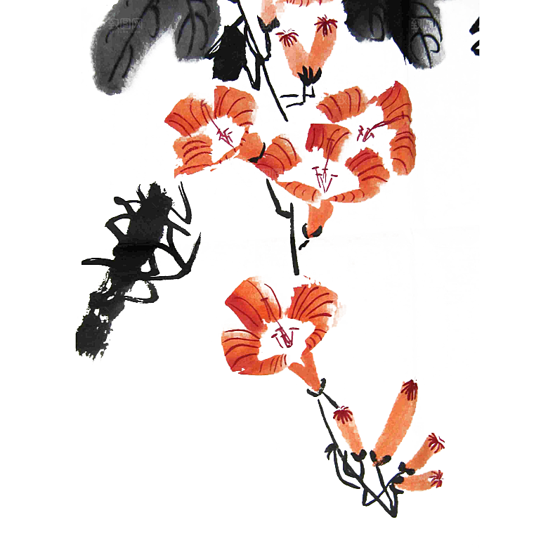 免抠植物古风花草插画元素