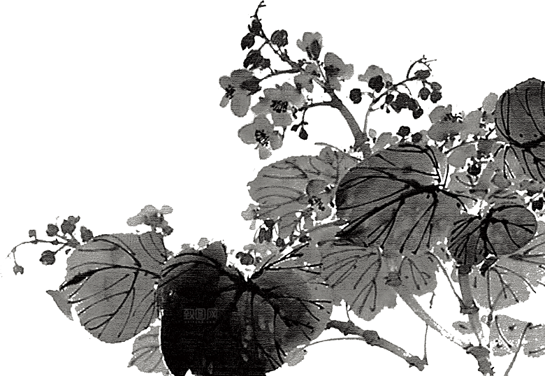 免抠植物古风花草插画元素