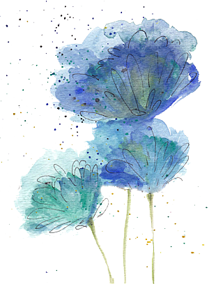 免抠植物古风花草插画元素