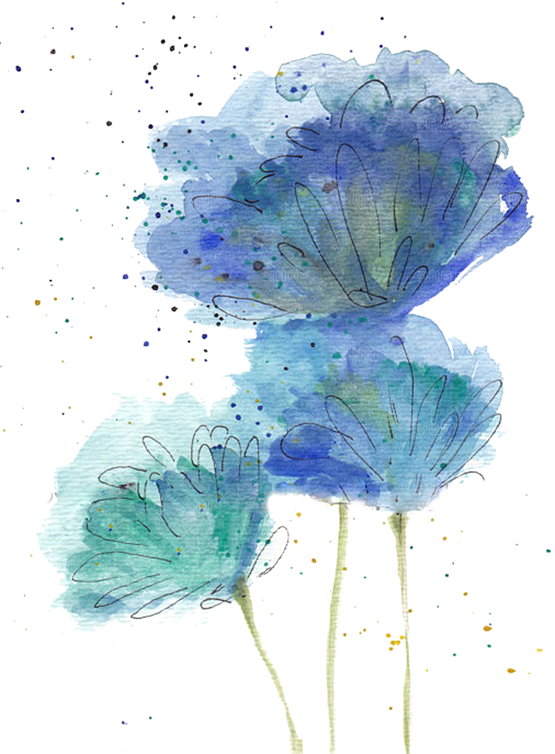 免抠植物古风花草插画元素