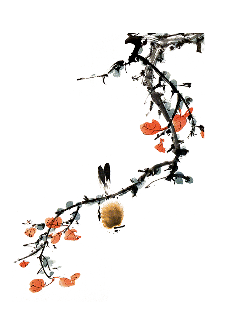 免抠植物古风花草插画元素