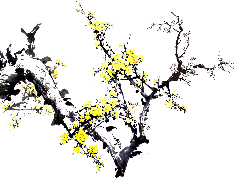免抠植物古风花草插画元素
