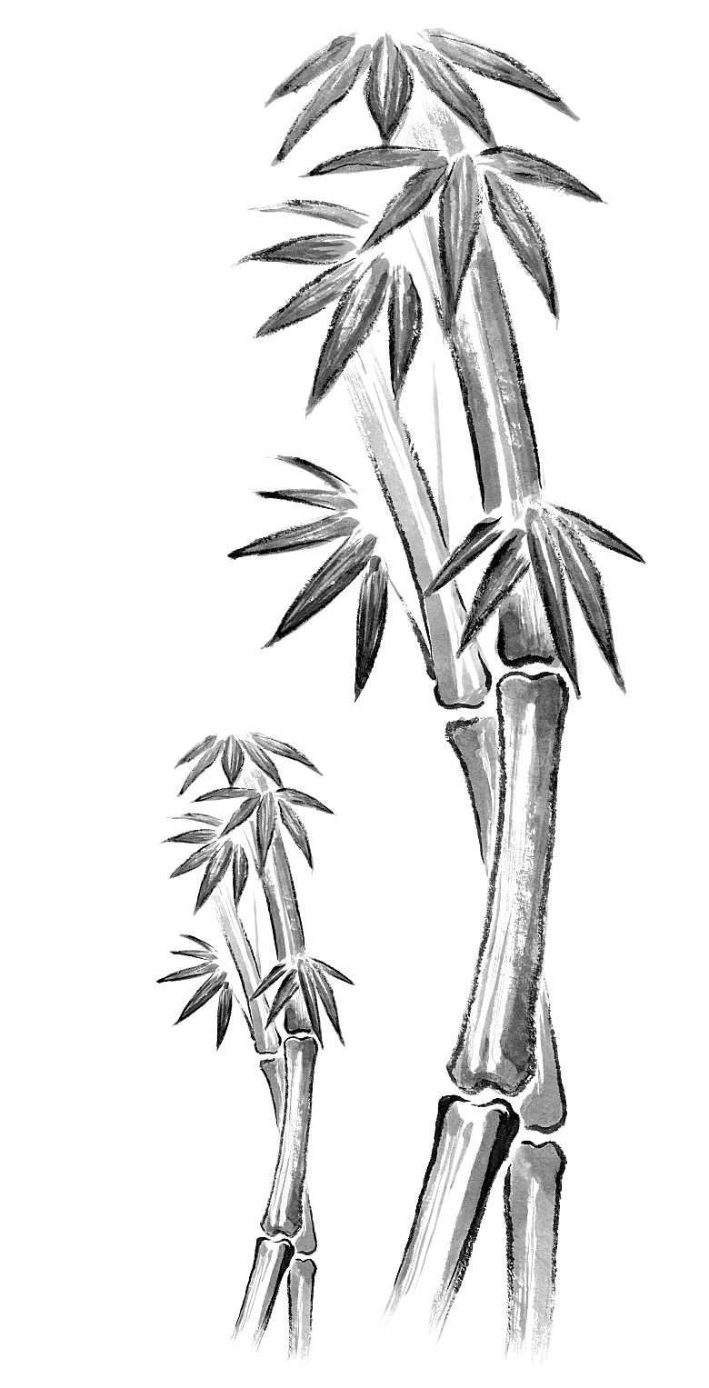 免抠植物古风竹子插画元素